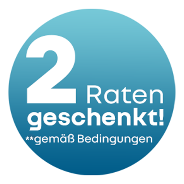 Störer Alpine 2 Raten_ Angebot