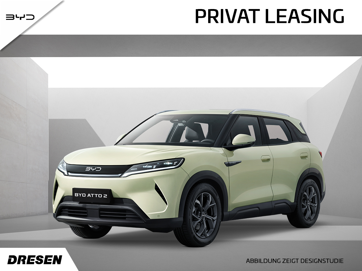 Angebotskachel BYD ATTO2 grün