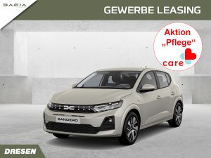 Dacia Sandero Gewerbe Pflege