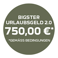 Grüner Störer Urlaubsgeld